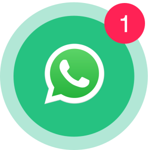 WhatsApp Support